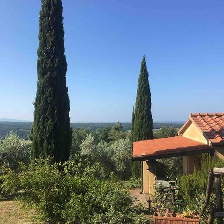Casa Belvedere -Tranquillita Tra Bosco E Ulivi- Riparbella Bagian luar foto