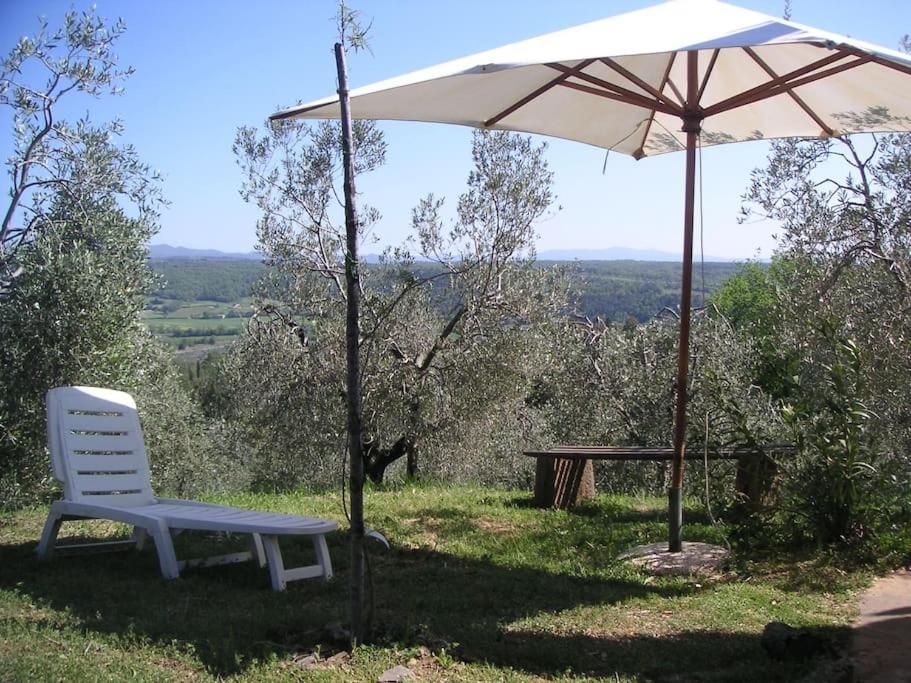 Casa Belvedere -Tranquillita Tra Bosco E Ulivi- Riparbella Bagian luar foto