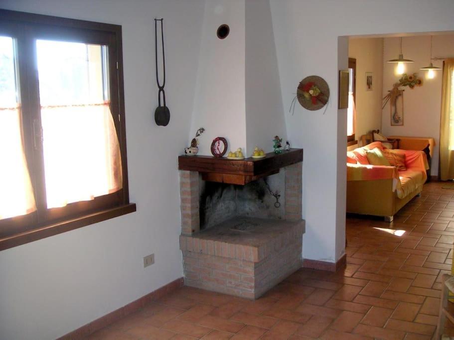 Casa Belvedere -Tranquillita Tra Bosco E Ulivi- Riparbella Bagian luar foto