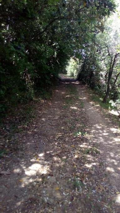 Casa Belvedere -Tranquillita Tra Bosco E Ulivi- Riparbella Bagian luar foto