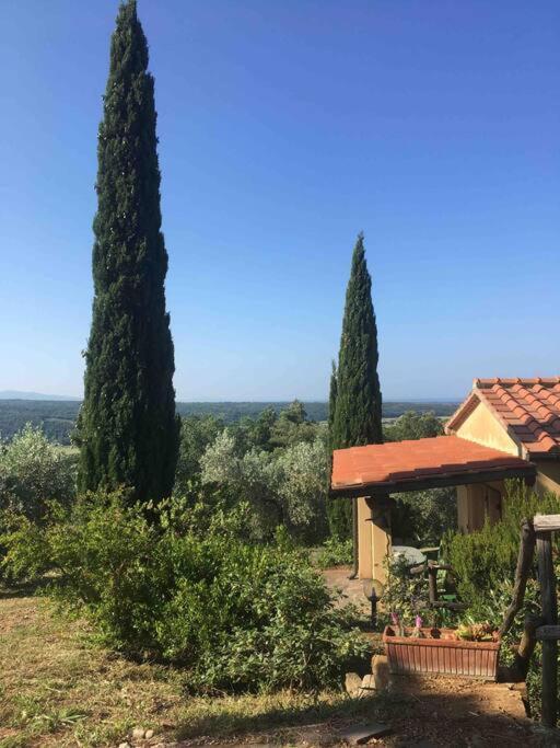 Casa Belvedere -Tranquillita Tra Bosco E Ulivi- Riparbella Bagian luar foto