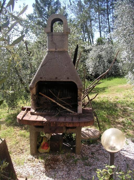 Casa Belvedere -Tranquillita Tra Bosco E Ulivi- Riparbella Bagian luar foto
