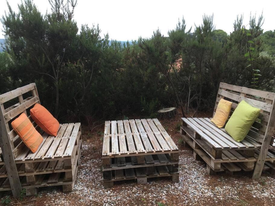 Casa Belvedere -Tranquillita Tra Bosco E Ulivi- Riparbella Bagian luar foto