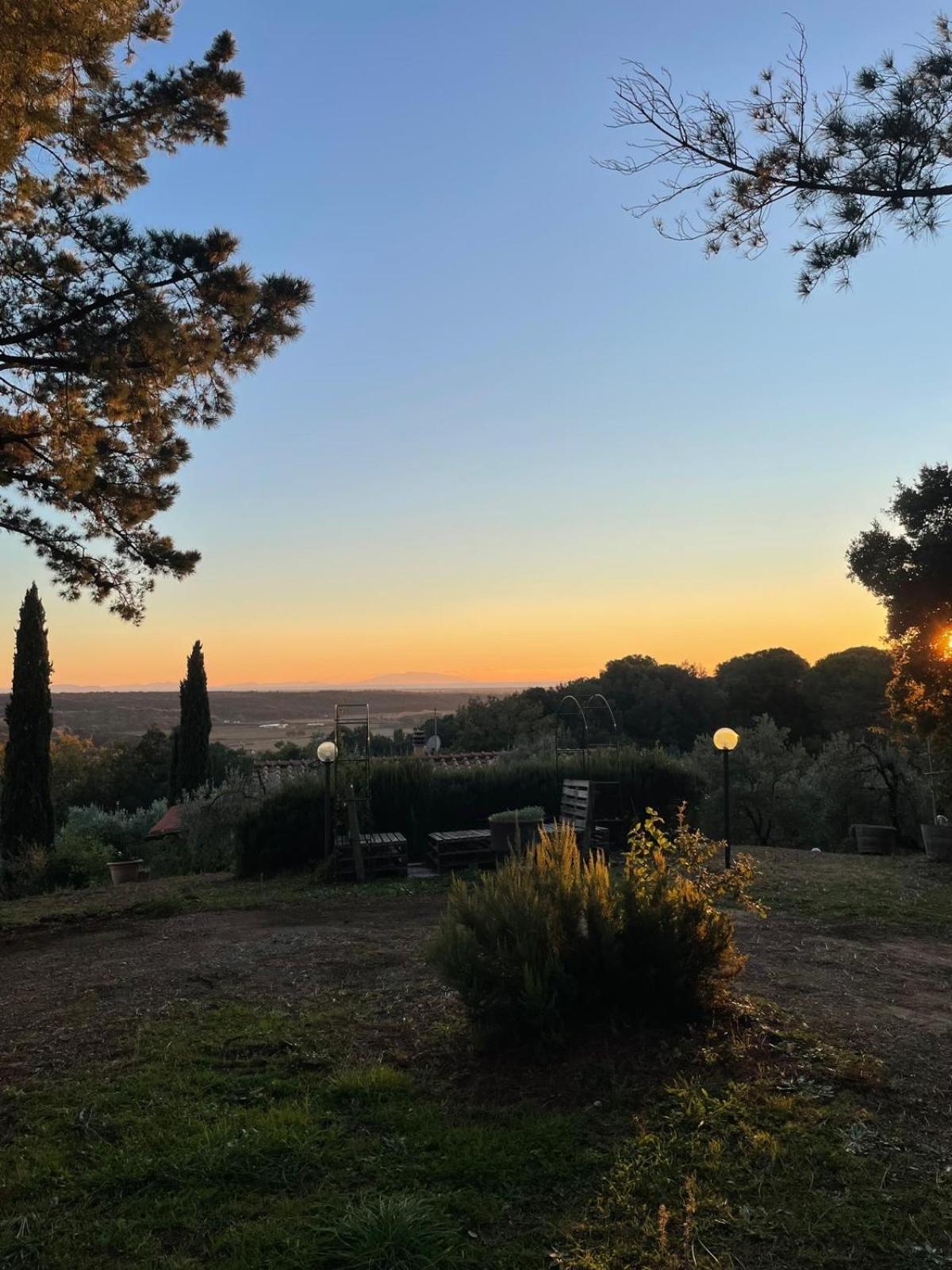 Casa Belvedere -Tranquillita Tra Bosco E Ulivi- Riparbella Bagian luar foto